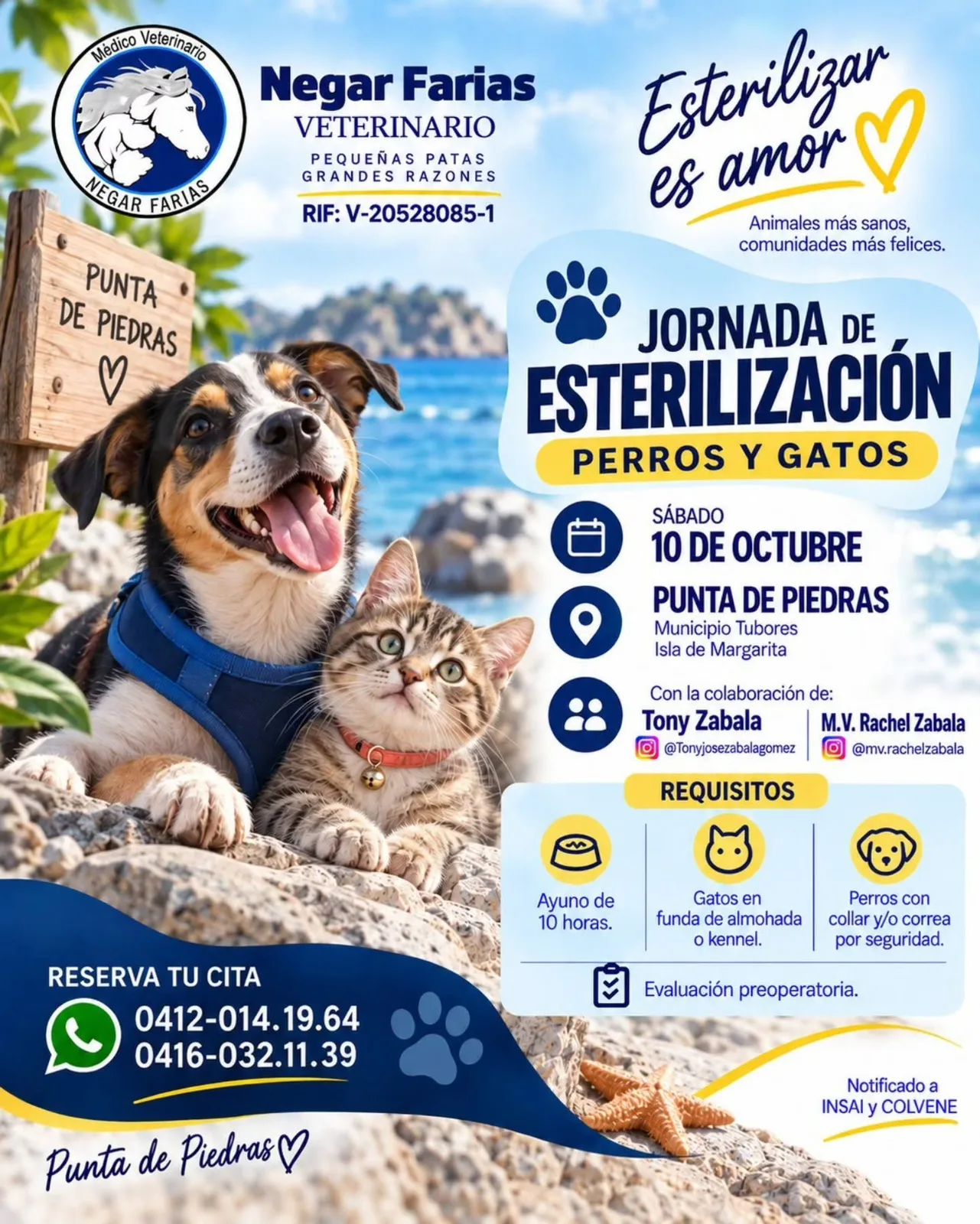 Jornada de Esterilización de Perros y Gatos en Punta de Piedras