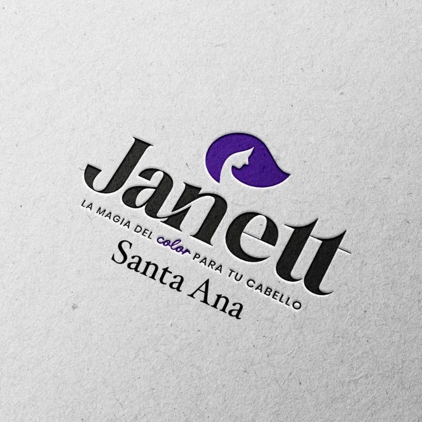 Comercial Janett Santa Ana