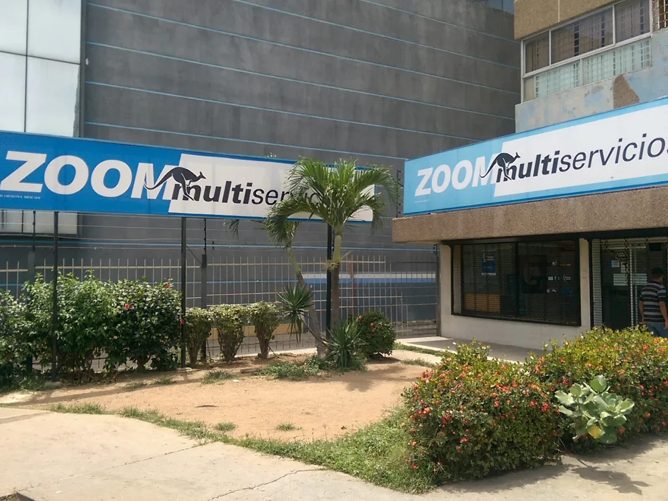 Zoom (4 de mayo)