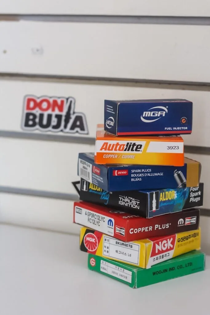Don Bujía La Asunción