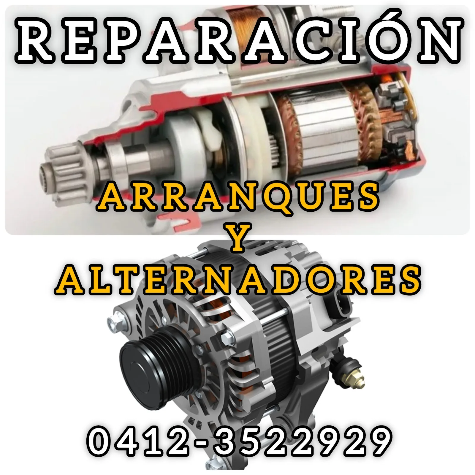 Alternadores y Arranques Robert