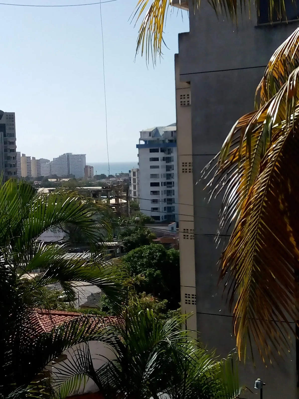 Ame Insular