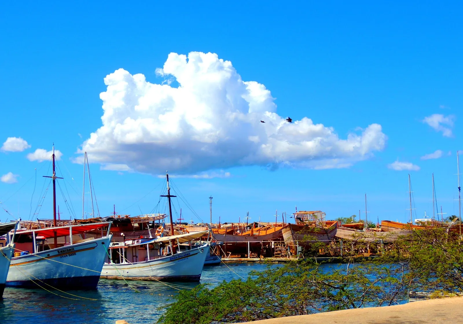 Astillero y Varadero del Caribe - Foto 3 | Guía Margarita