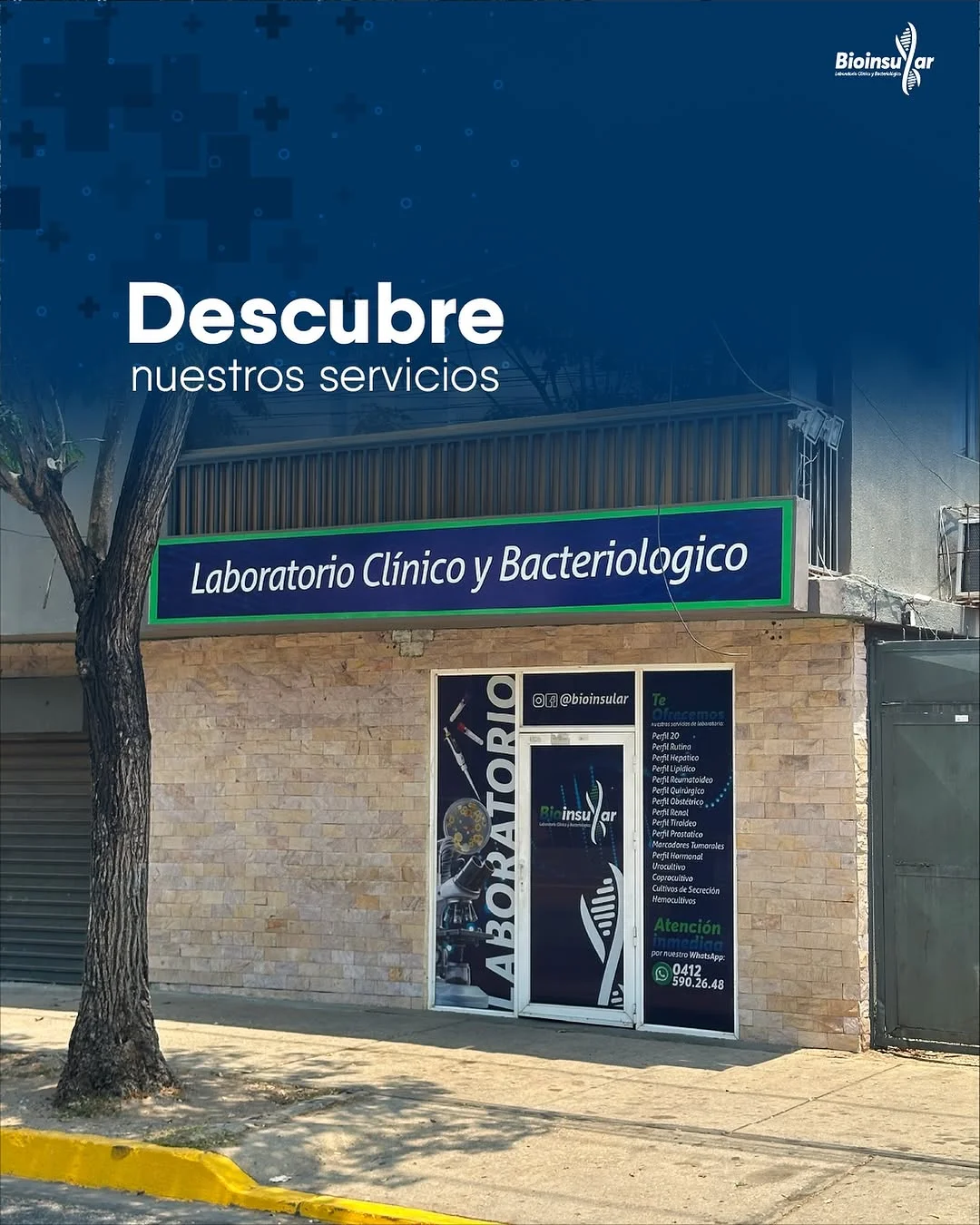 Bioinsular