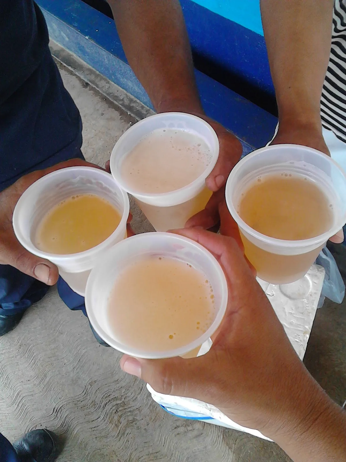 Bodegón el Grand Toro Jr - Foto 3 | Guía Margarita