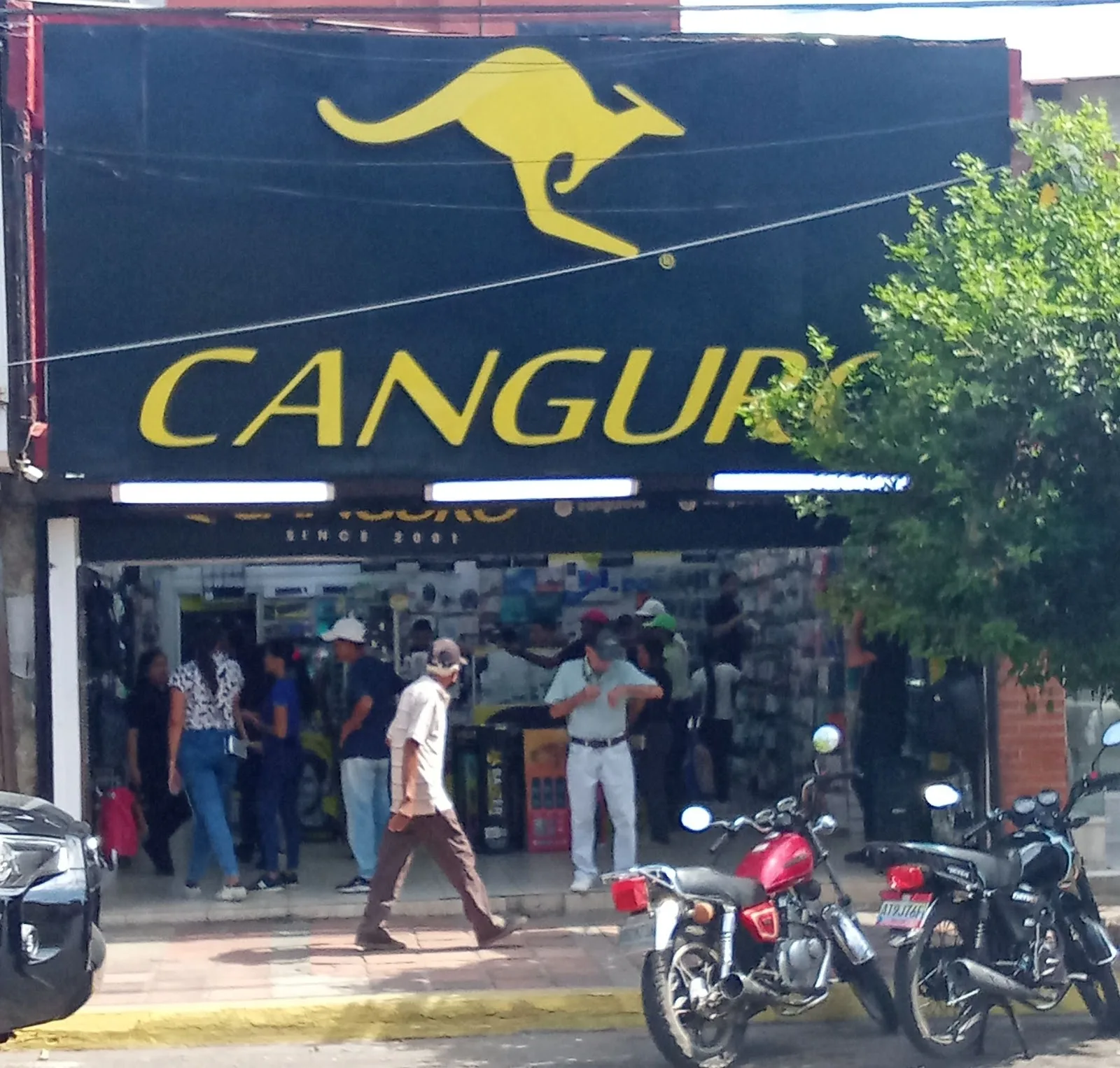 Canguro Margarita Shop - Foto 2 | Guía Margarita