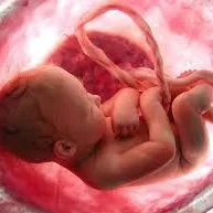 Dr. César Escalona Ginecología & Obstetricia