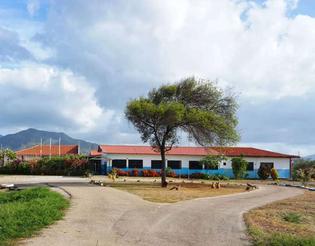 Colegio Madison Bilingüe