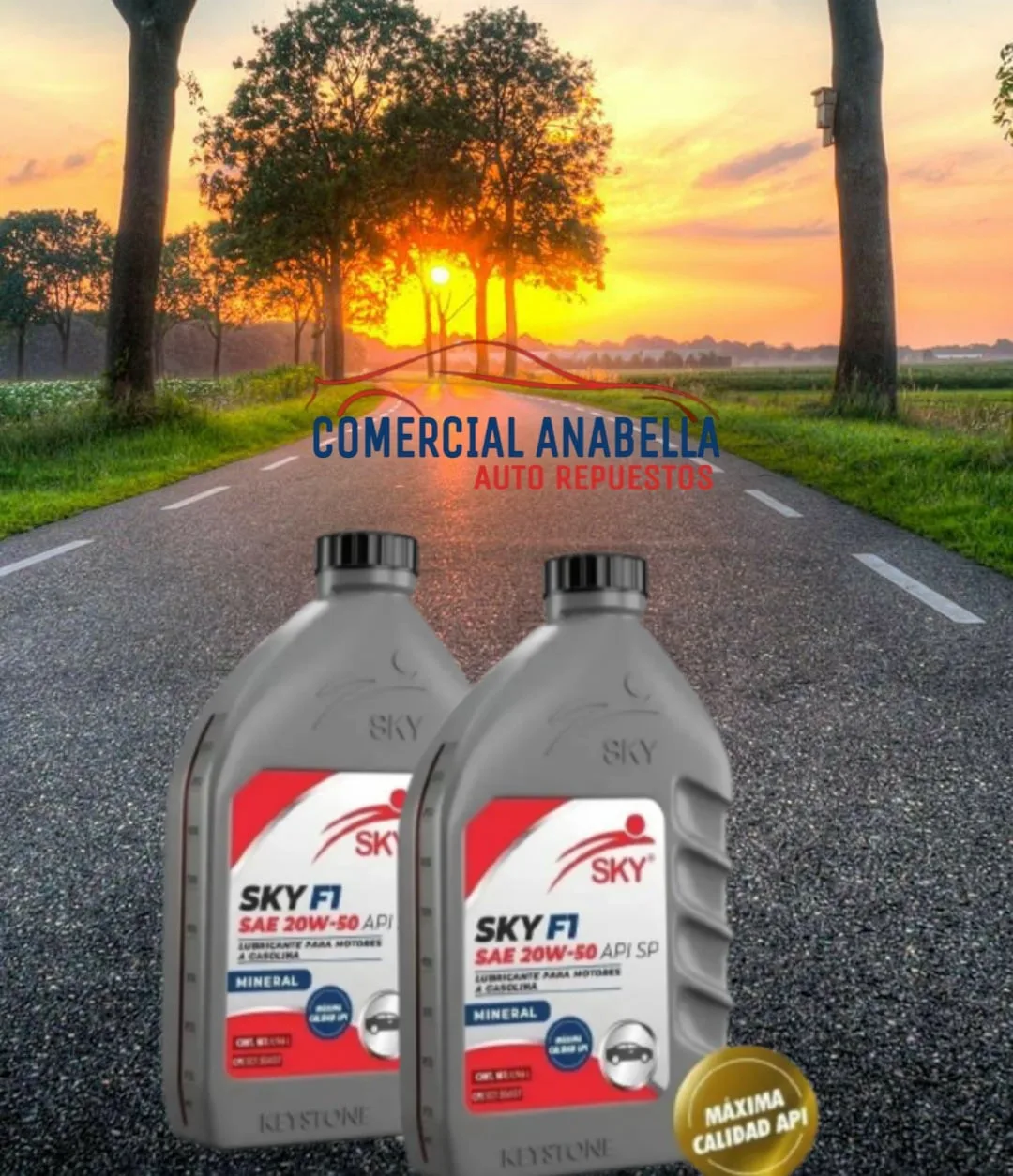 Comecial Anabella Auto Repuestos - Foto 3 | Guía Margarita