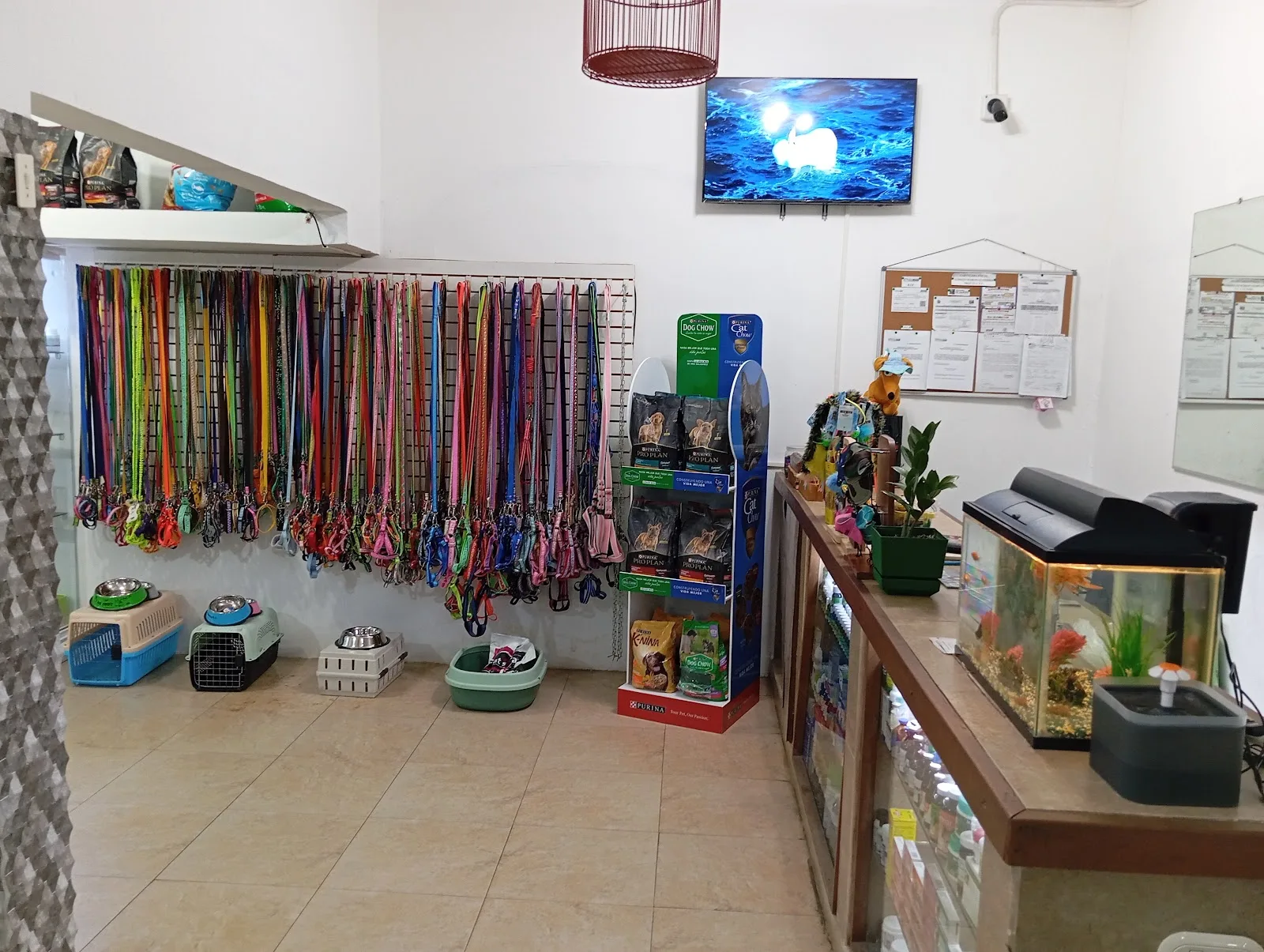 Consultorio Veterinario Alfredo Gutiérrez
