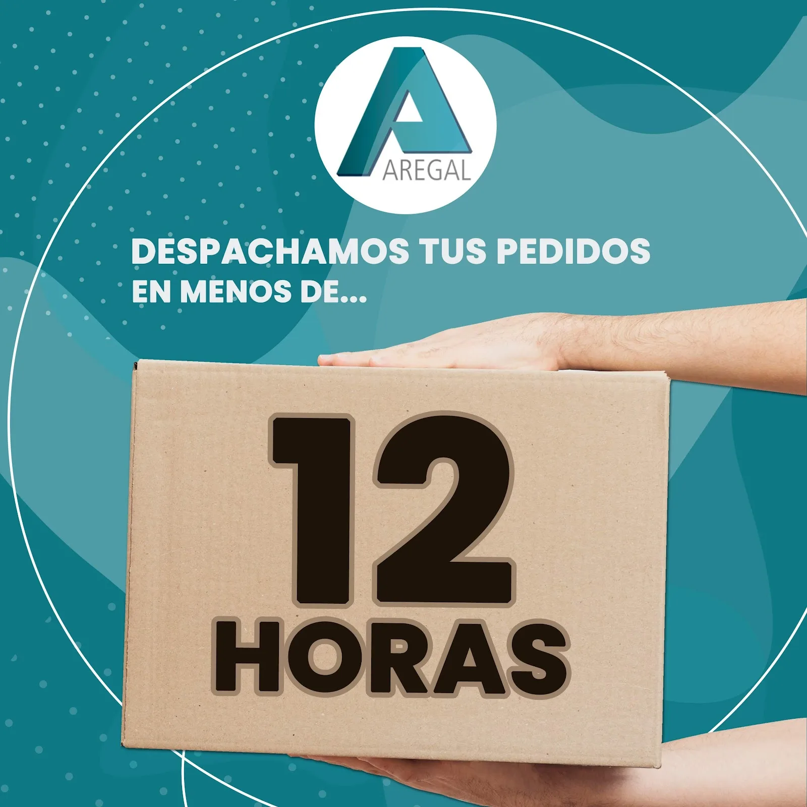 Distribuidora Aregal - Foto 3 | Guía Margarita