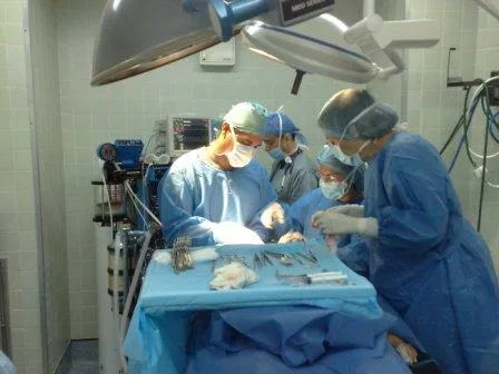 Dr. César Ortega Acosta Cirugía Plástica - Foto 2 | Guía Margarita