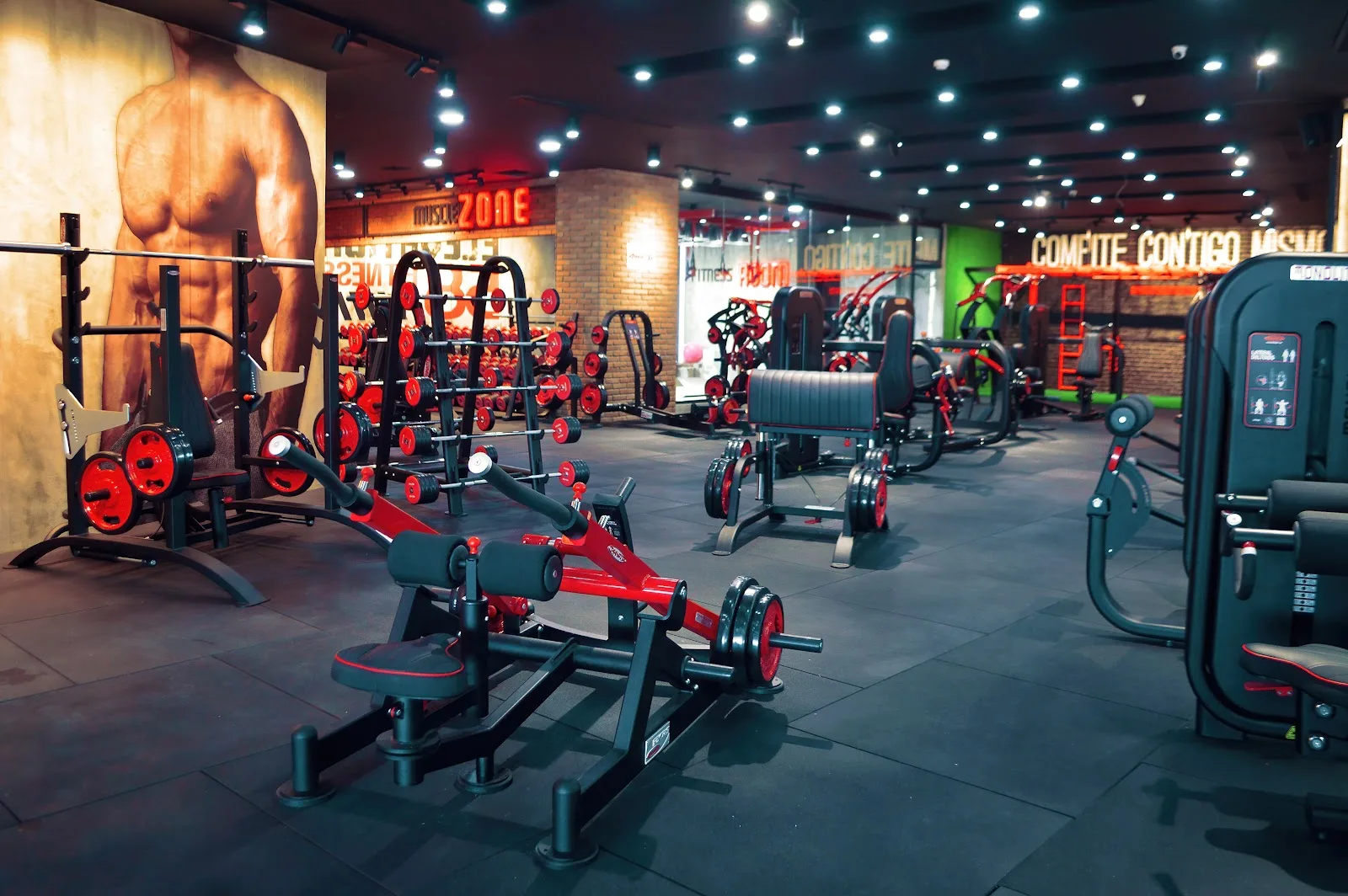 Elevation 58 Fitness
