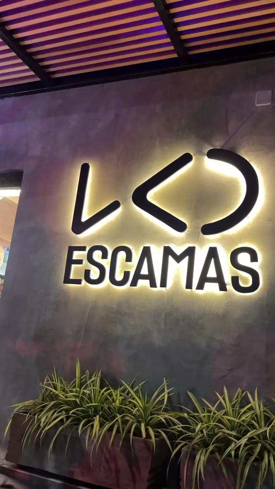 Escamas - Foto 2 | Guía Margarita