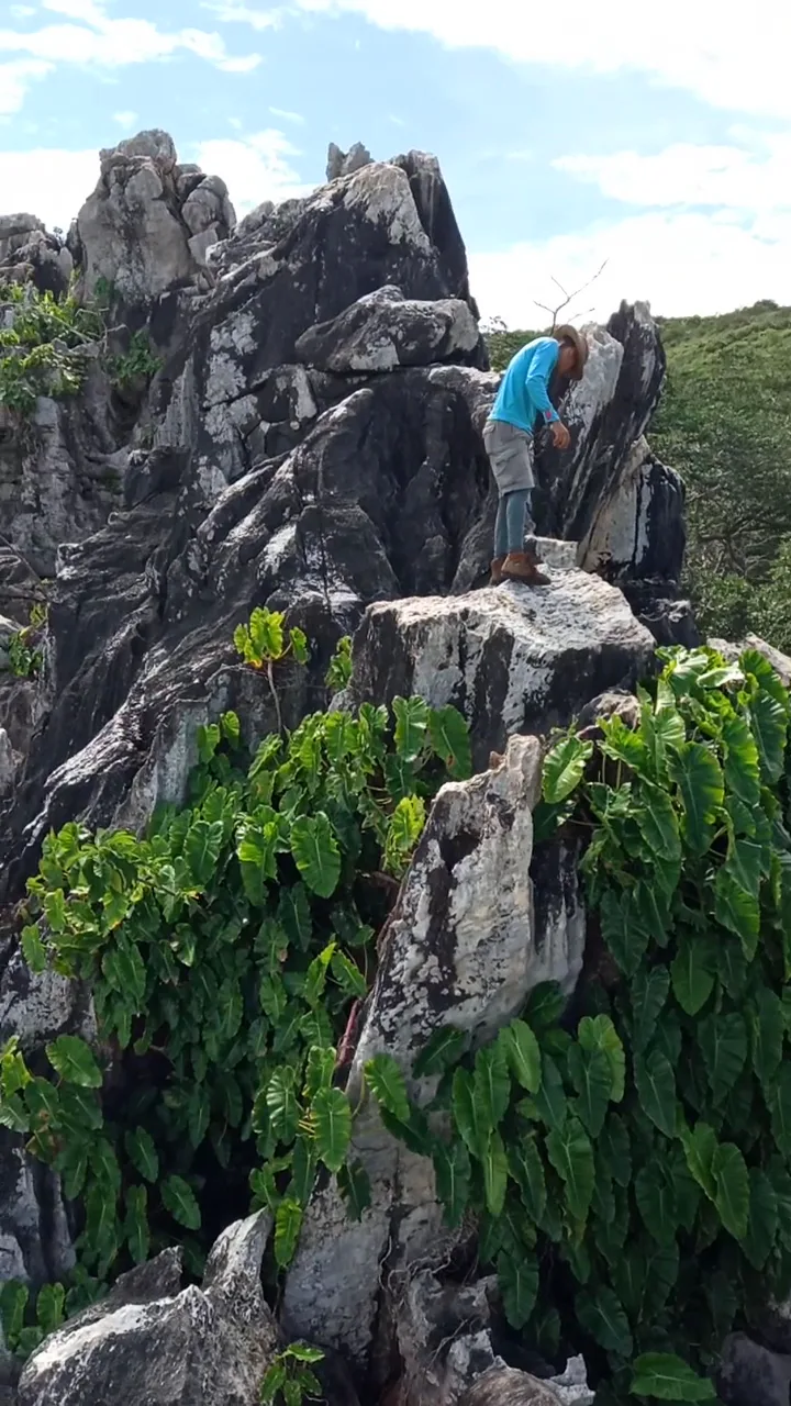 Espartanos Trekking - Foto 2 | Guía Margarita