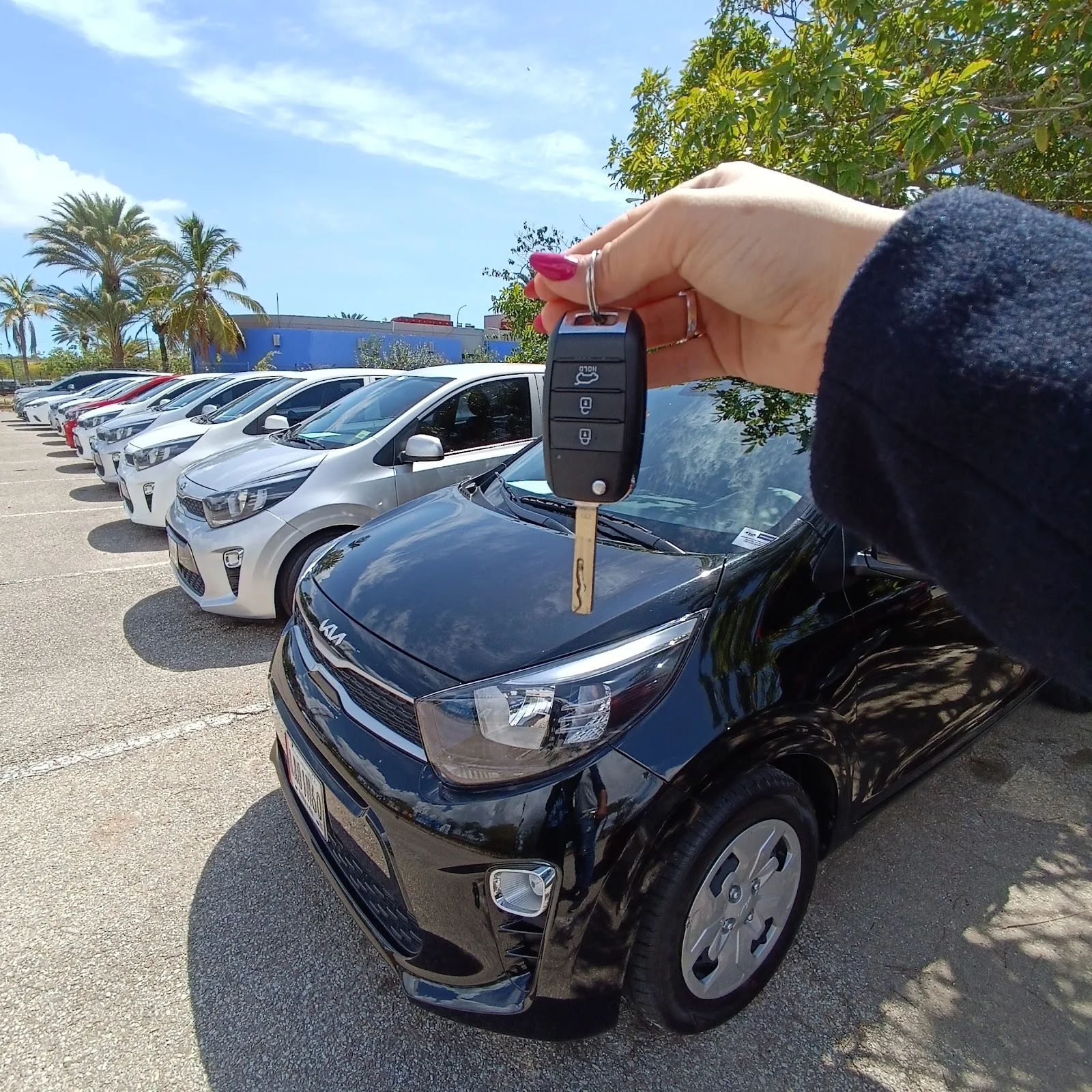 Free Way Rent a Car