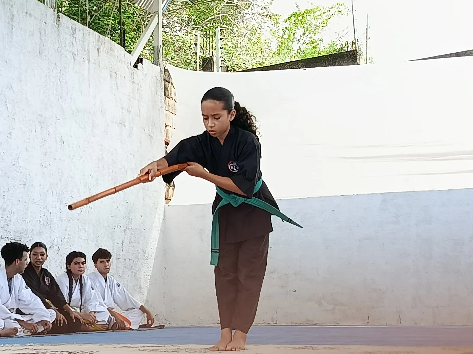 Gekidokan - Foto 3 | Guía Margarita