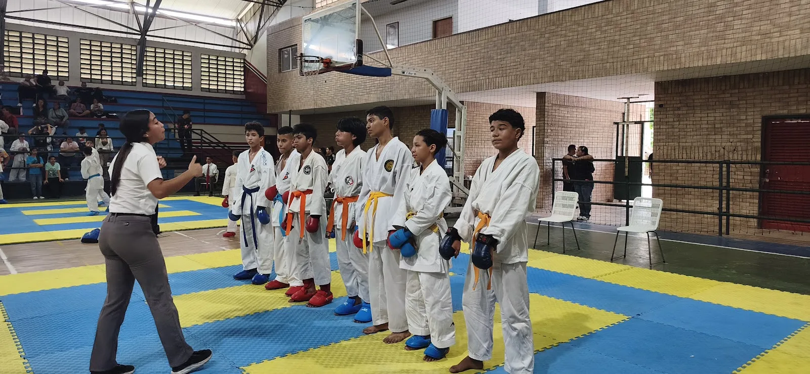 Gimnasio Br. Francisco Verde Rojas