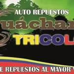 Guacharotricolor