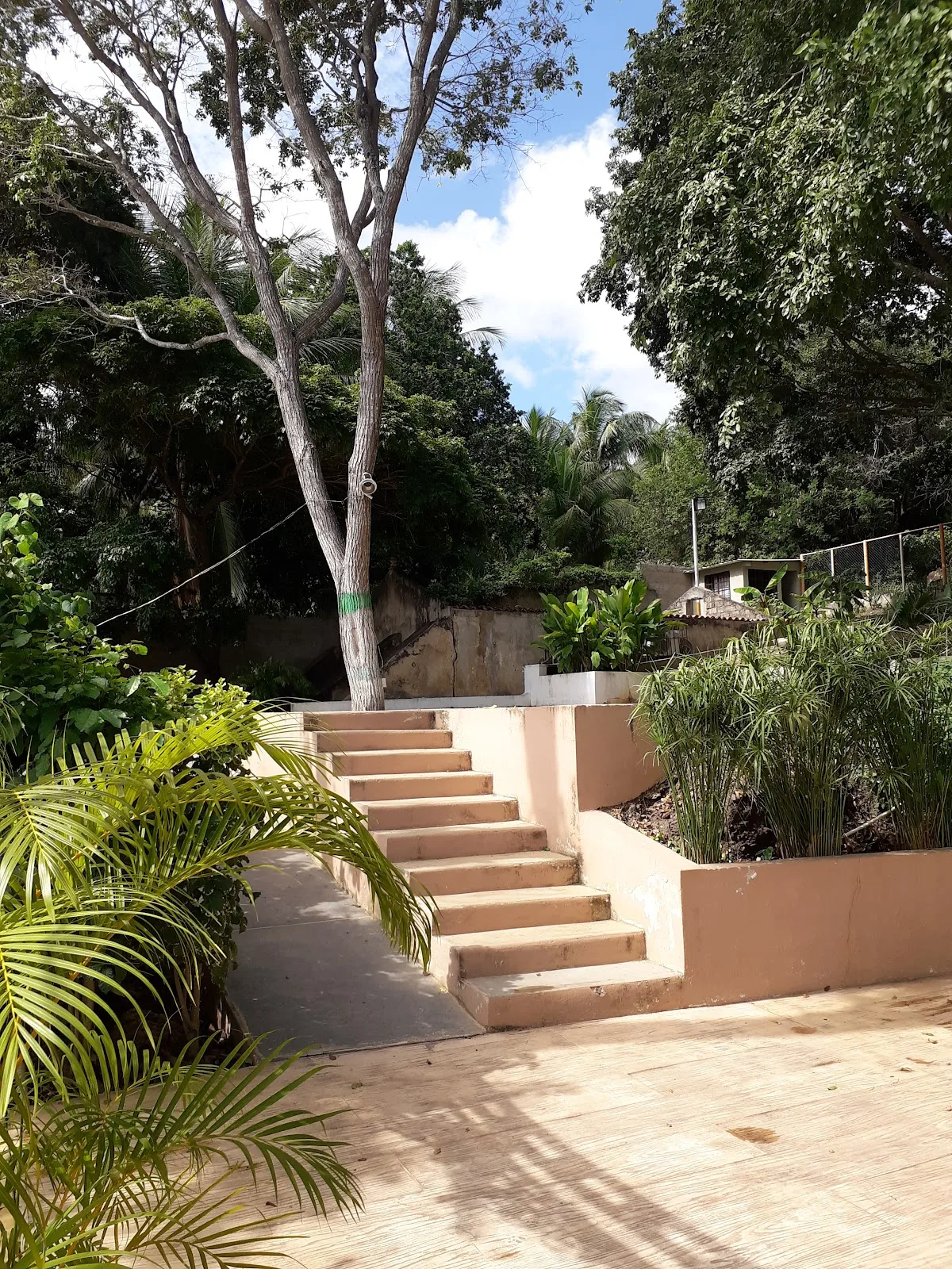 Instituto Culinario y Turístico del Caribe