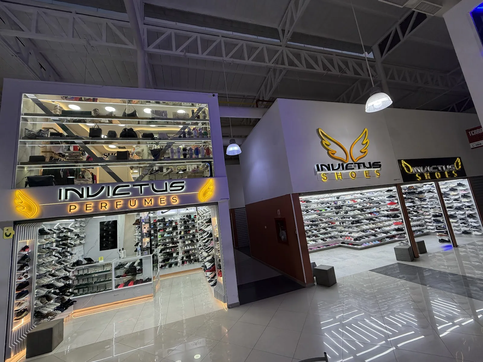 Invictus Shoes