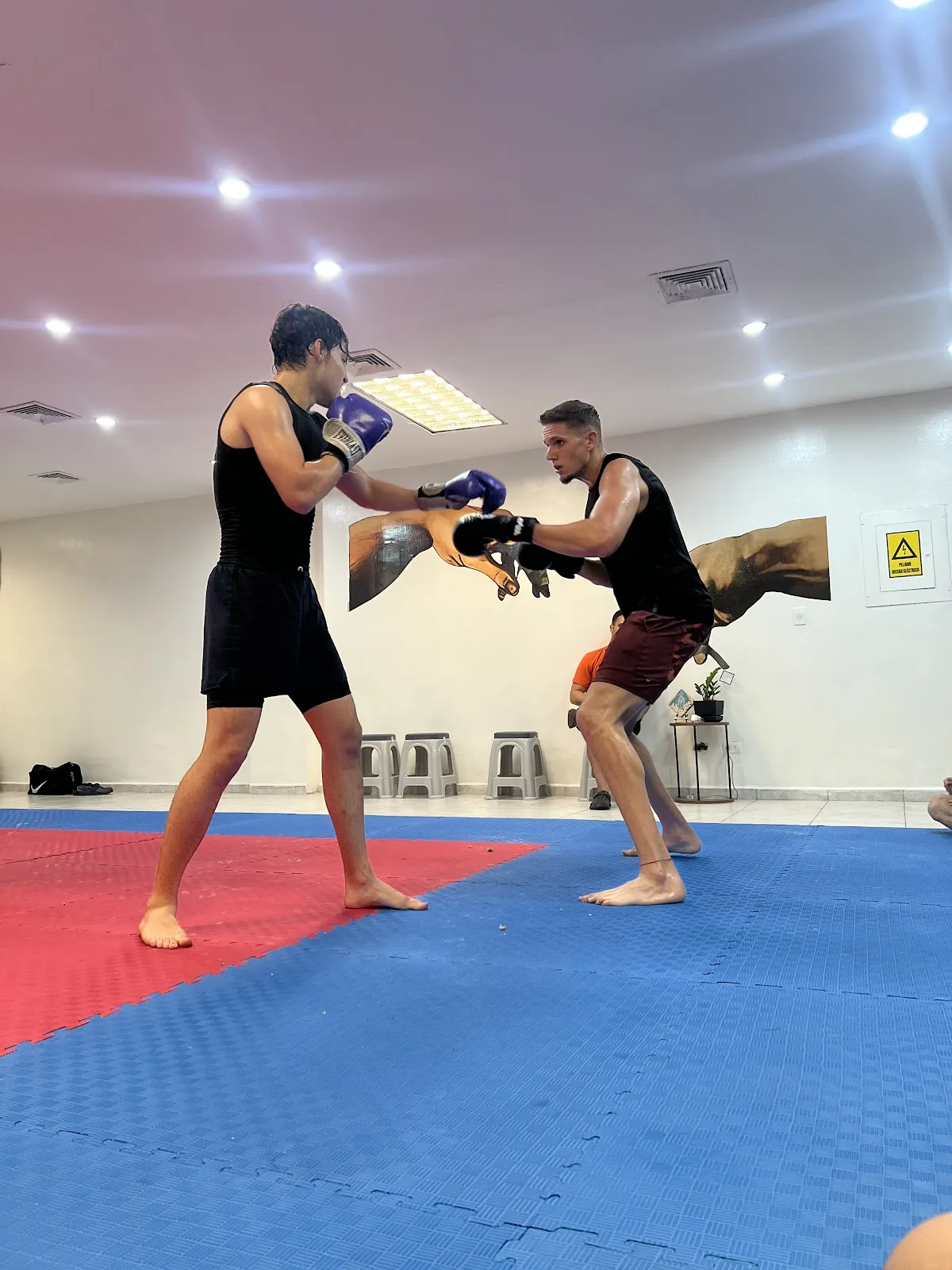 Isla BJJ Team Margarita Equipe 7
