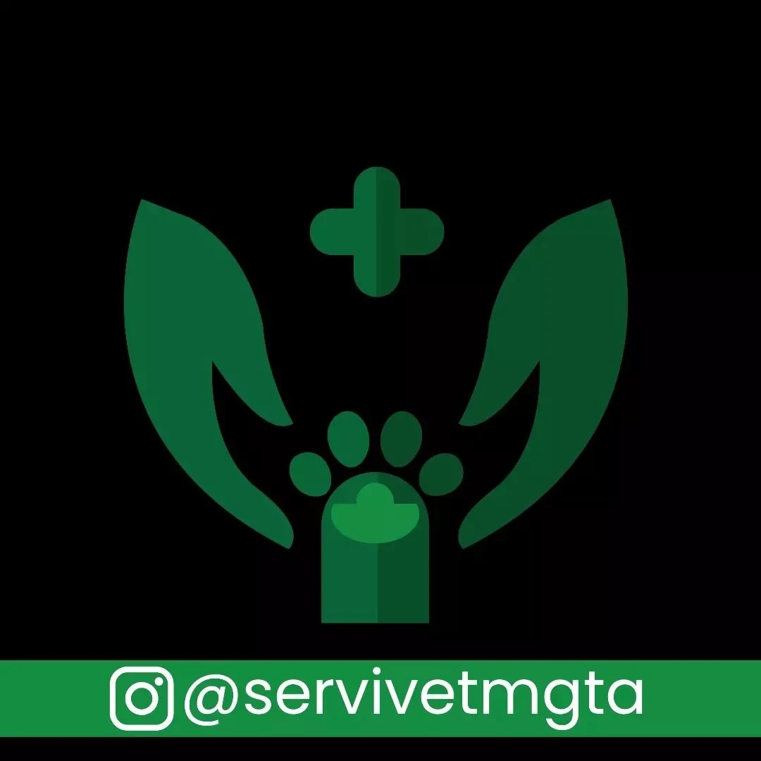 Servivet Margarita