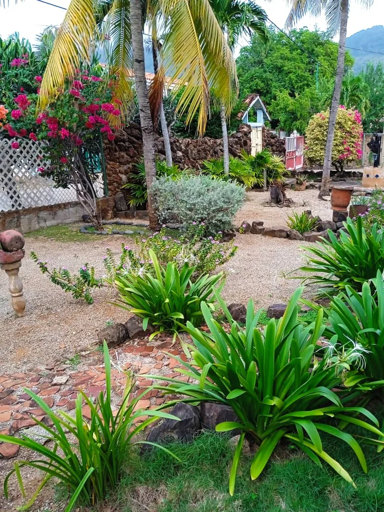M&J Jardinería