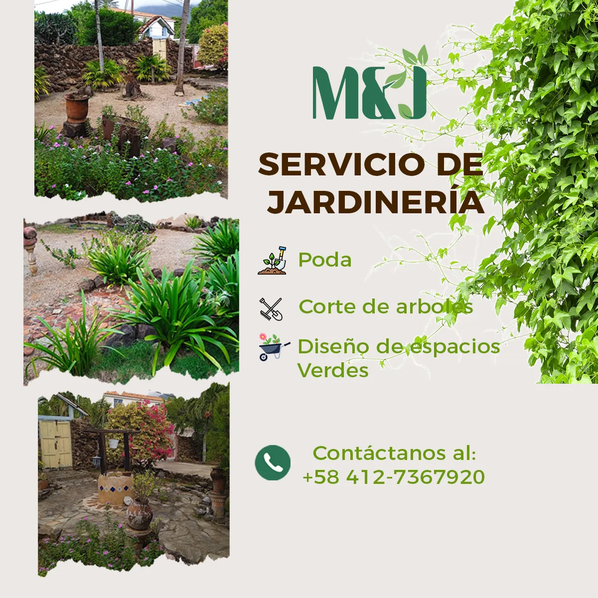 M&J Jardinería - Foto 2 | Guía Margarita