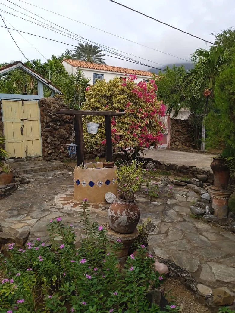 M&J Jardinería - Foto 3 | Guía Margarita