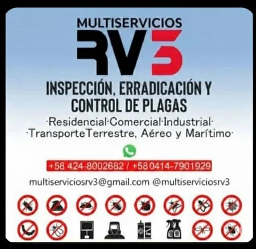 Multiservicios RV3