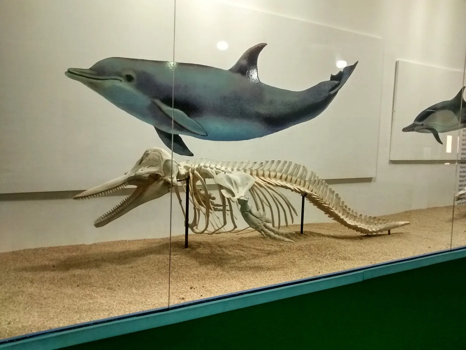 Museo Marino de Margarita