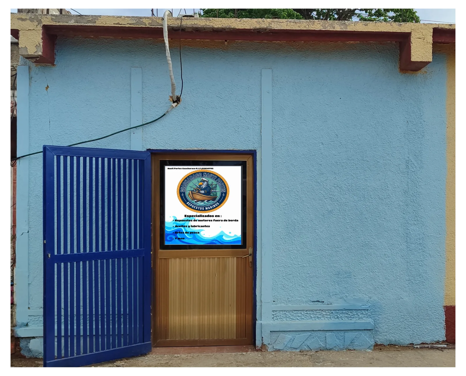 Nautipartes Guacharaco