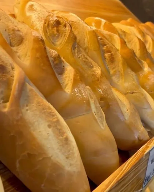 Panadería y Pastelería Artigas C.A. - Foto 2 | Guía Margarita