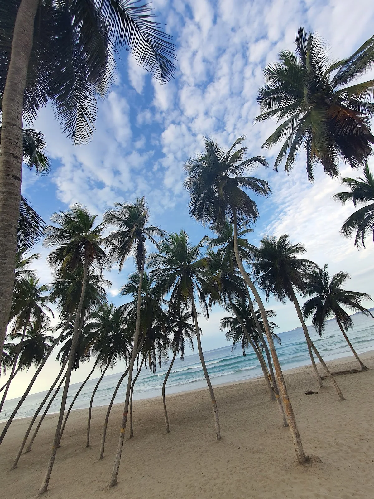 Papaya Tours Venezuela