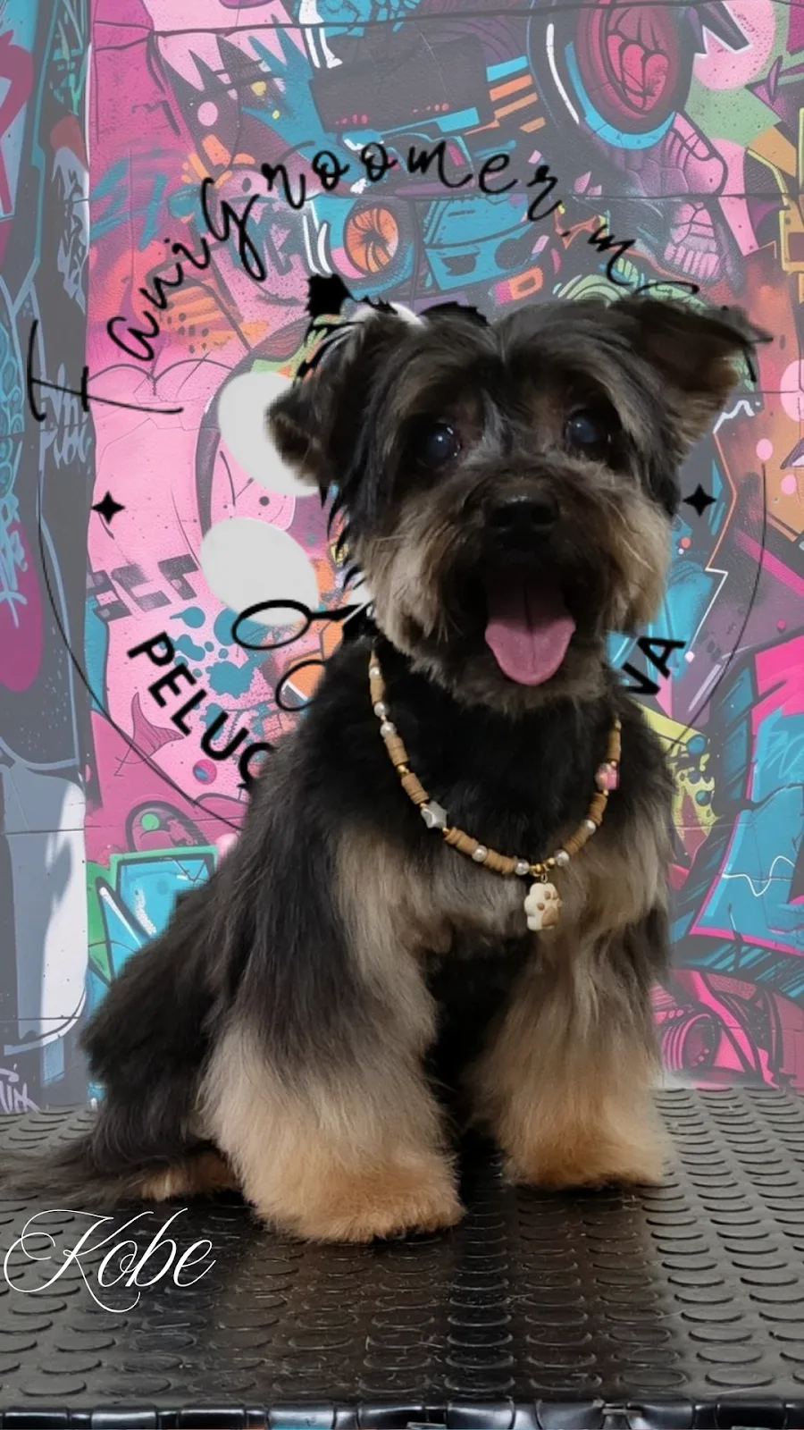 Peluquería Canina Fanigroomer (Margarita)