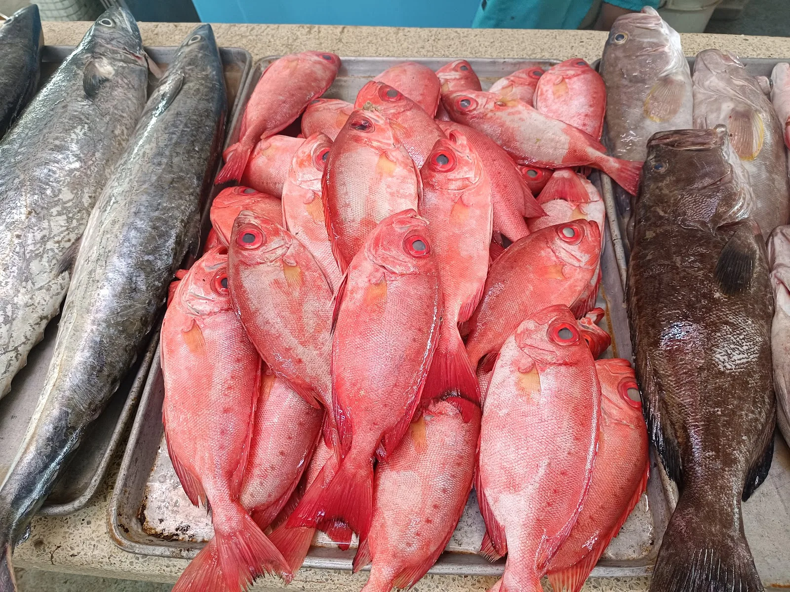 Pescadería Fish Market - Foto 2 | Guía Margarita