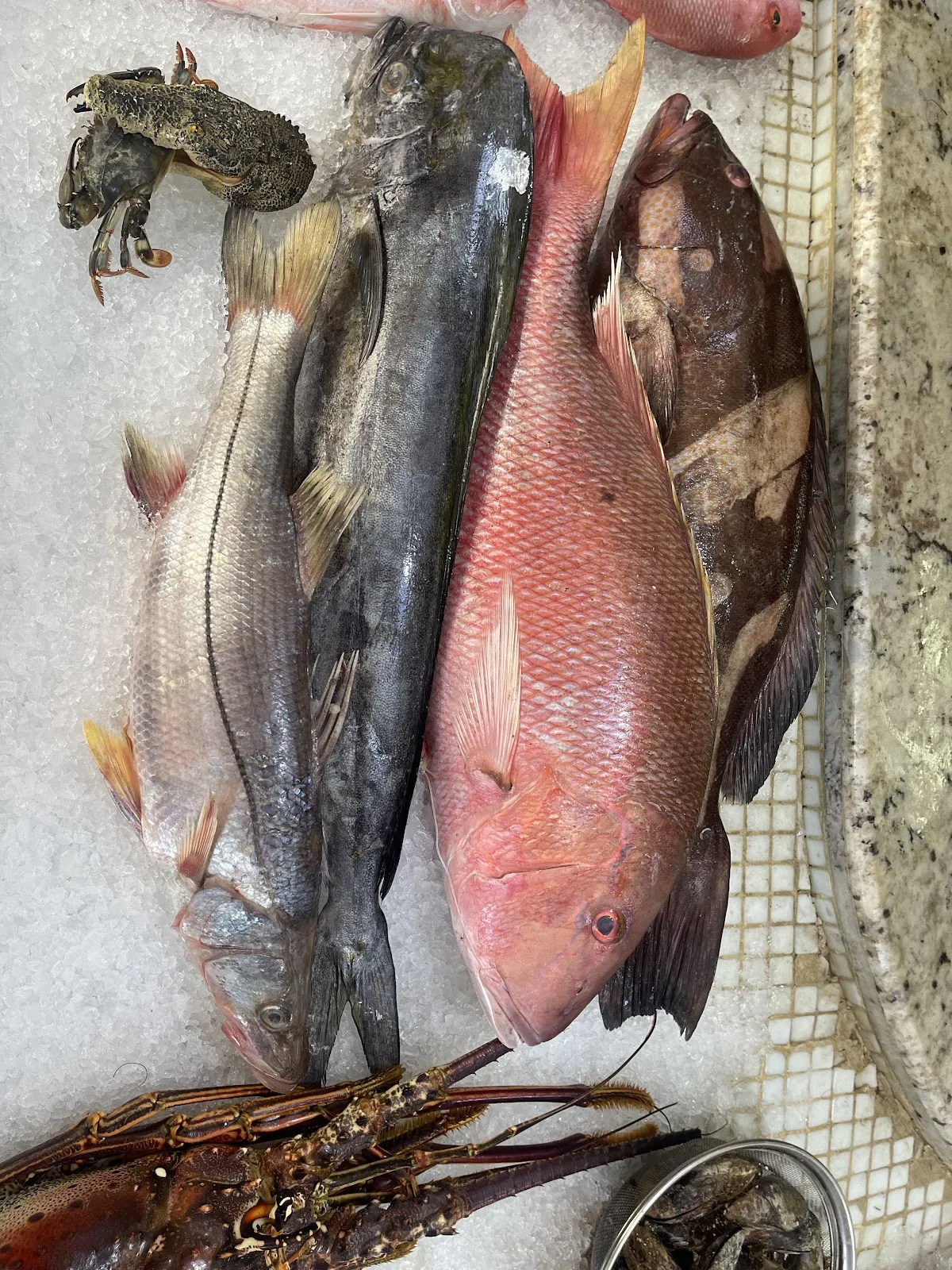 Pescadería y Marisquería Poseidón Fishing - Foto 3 | Guía Margarita