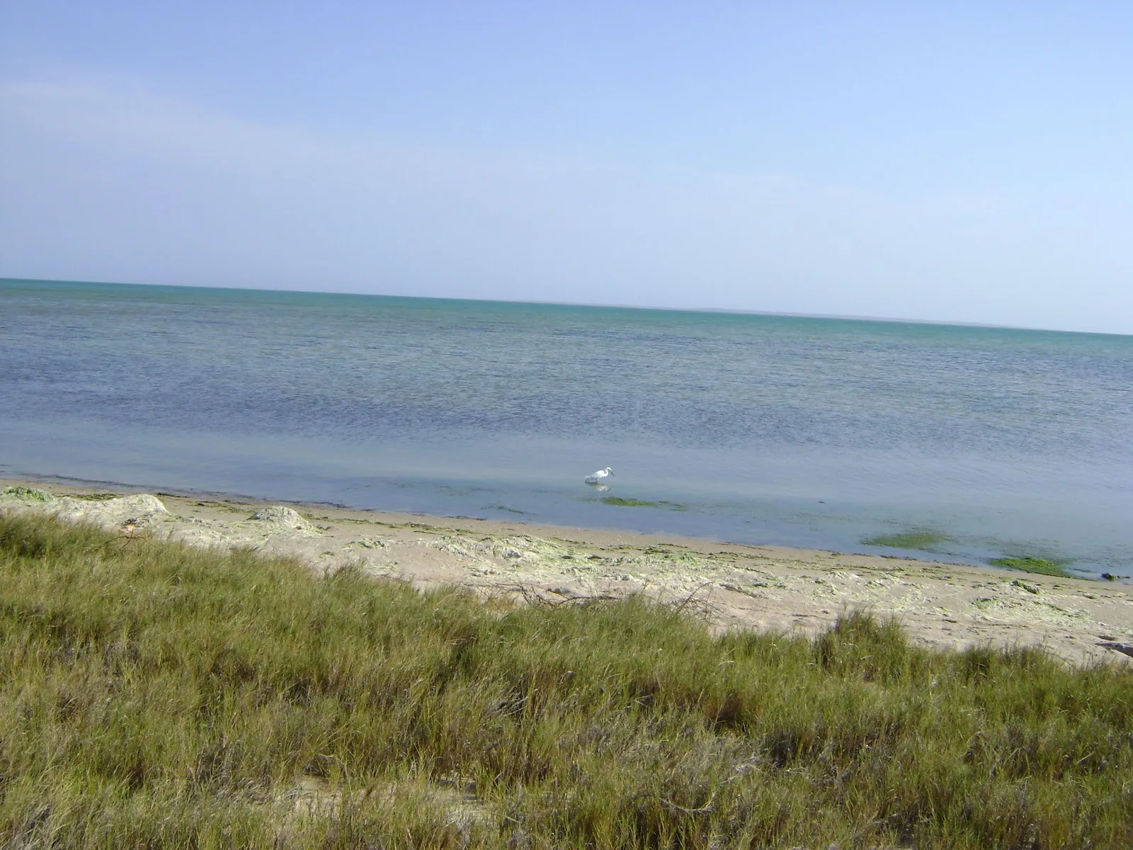Playa Boca de Palo