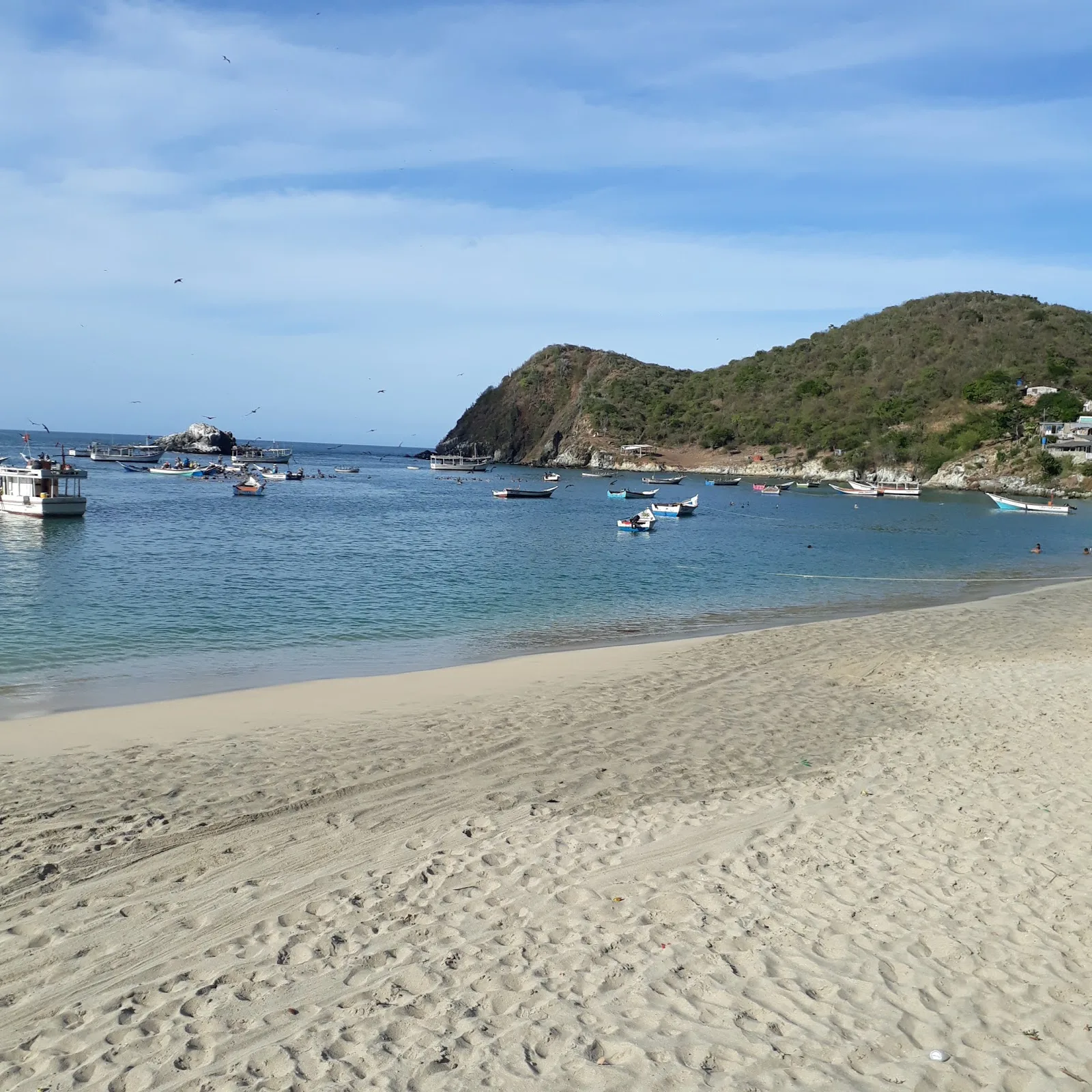 Playa Guayacán