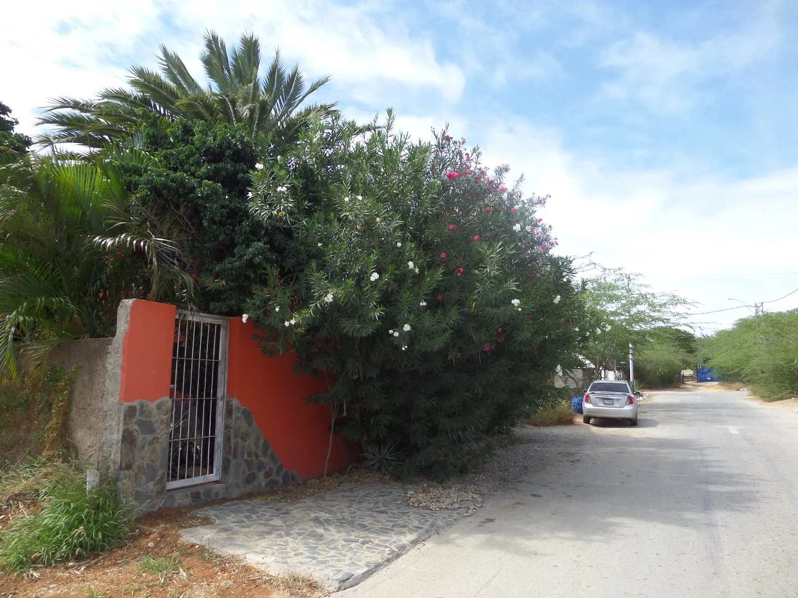 Posada Casa Caracola - Foto 3 | Guía Margarita