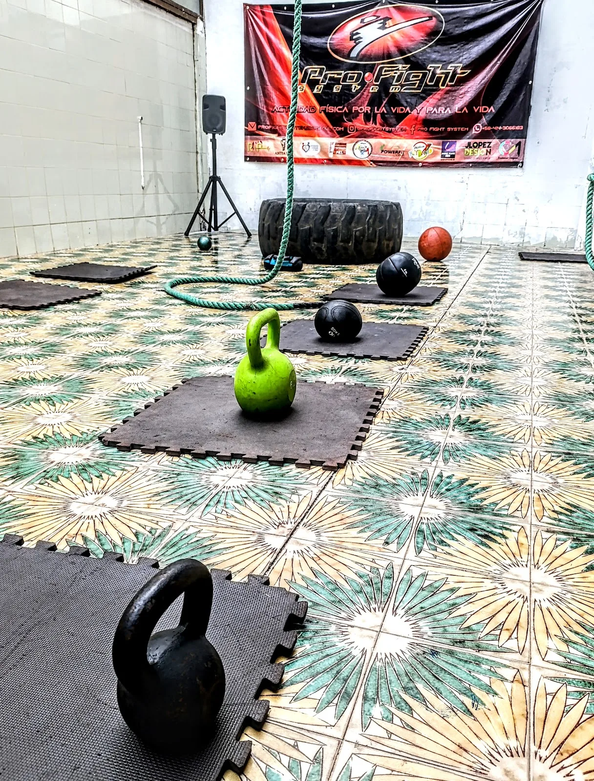 Pro Fight System