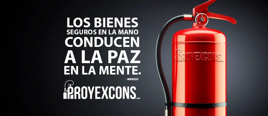 Proyexcons