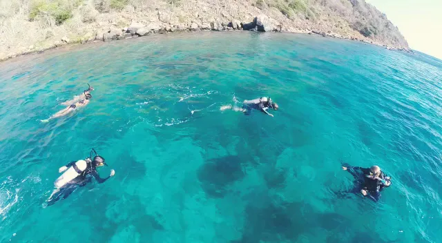 Scubadiving Margarita - Foto 2 | Guía Margarita