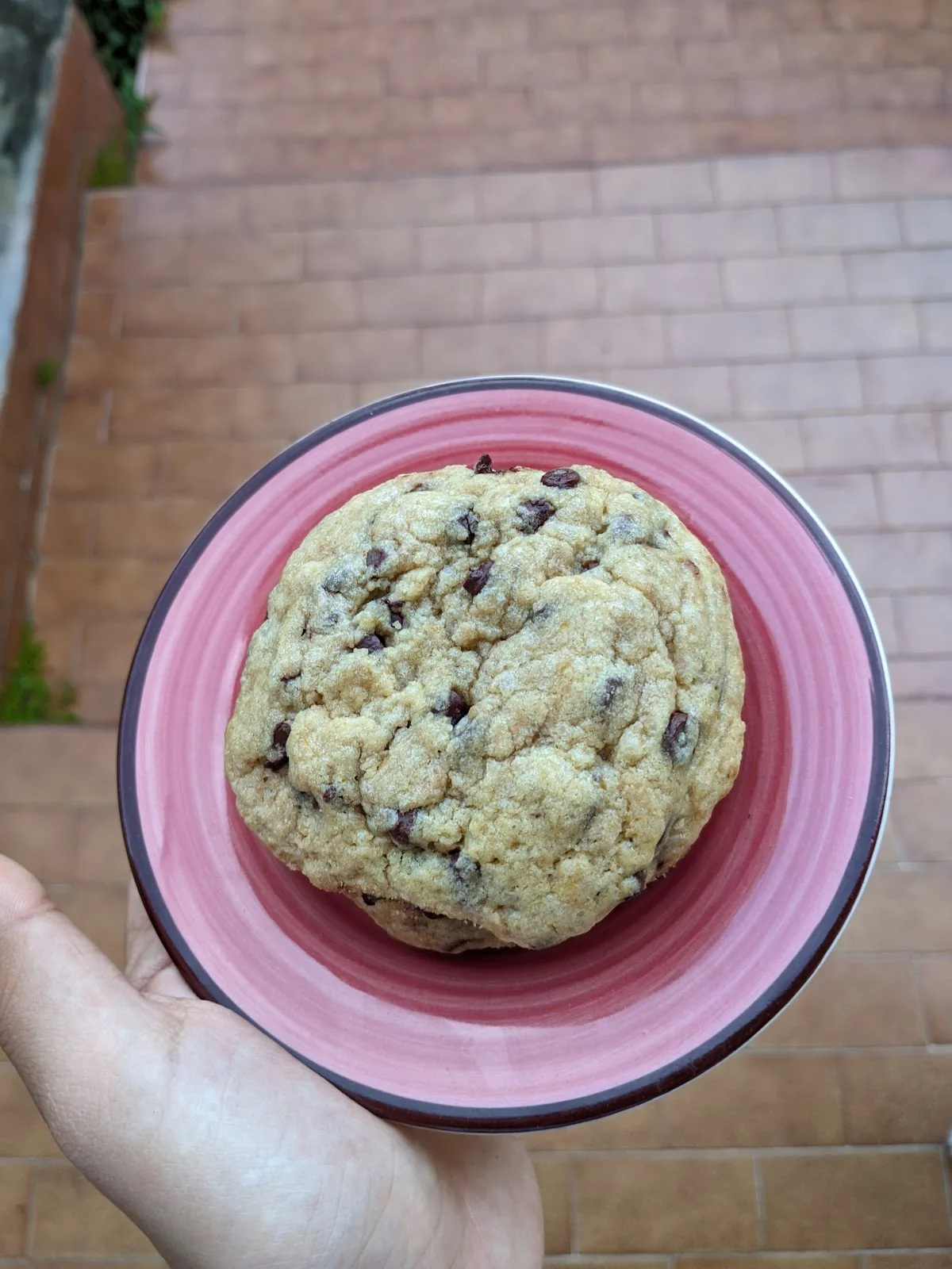 Sol Cookies
