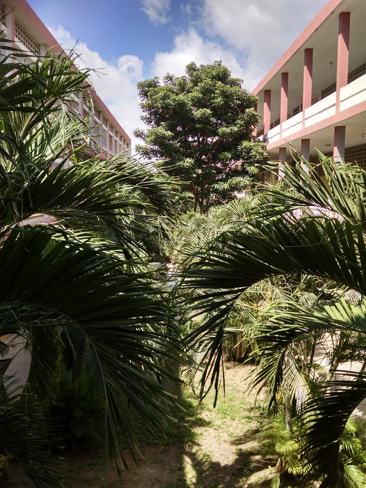 U.E. Liceo Bolivariano Nueva Esparta - Foto 2 | Guía Margarita
