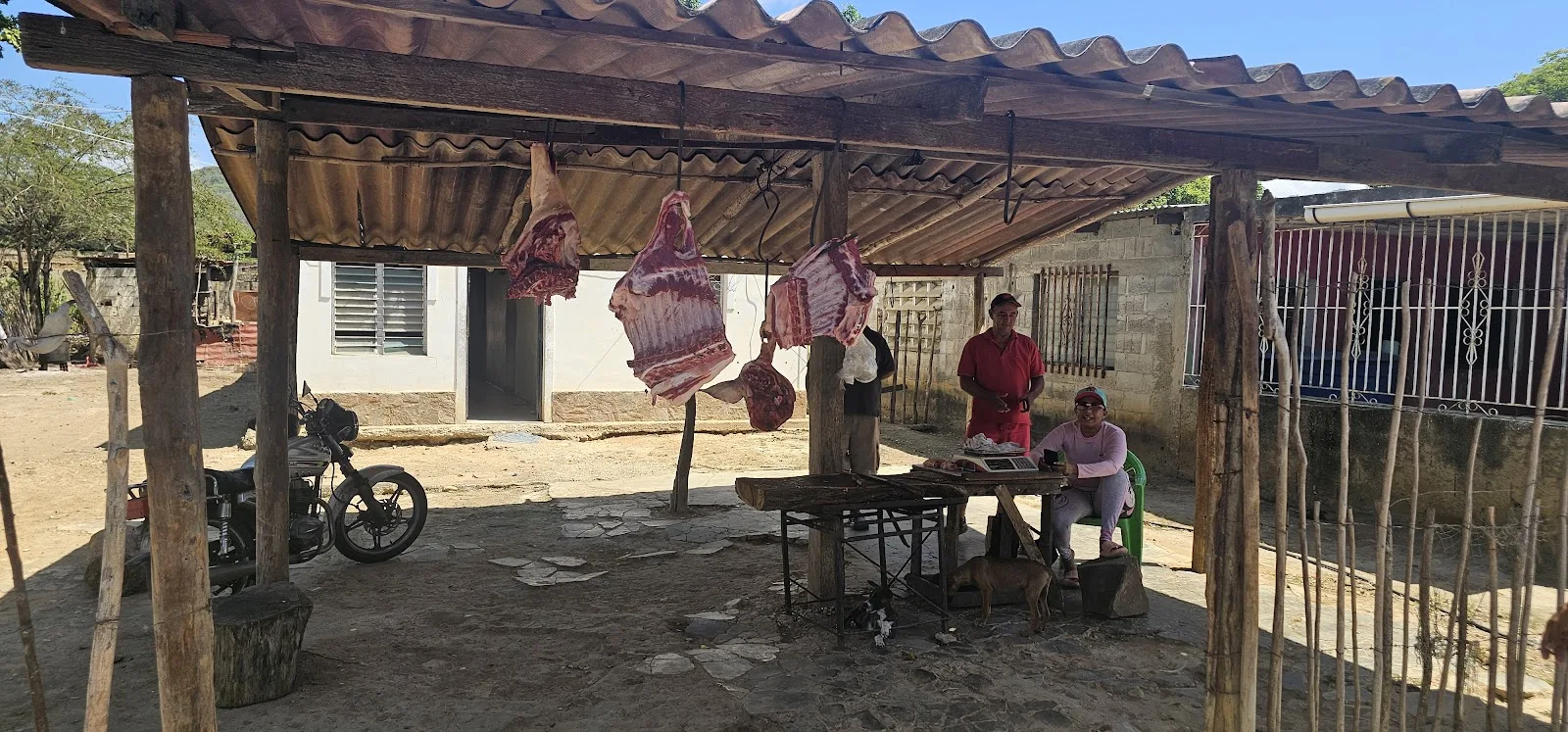Venta de Cochino Los Millanes