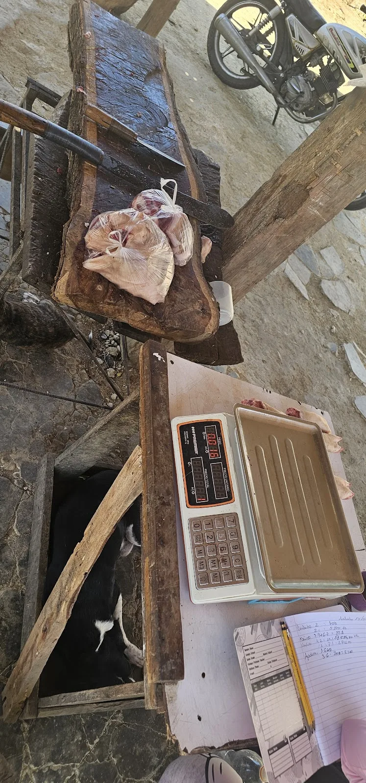 Venta de Cochino Los Millanes - Foto 2 | Guía Margarita