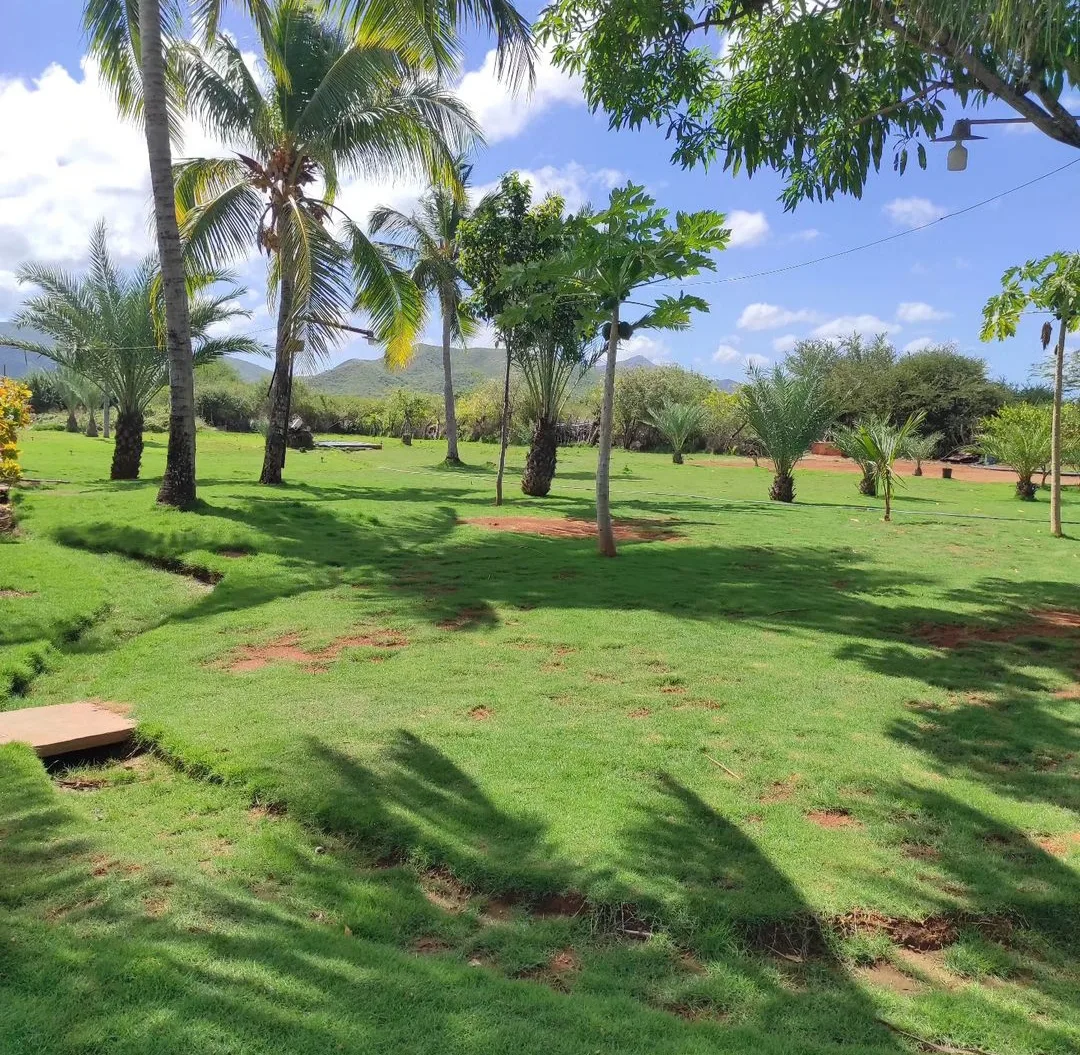 Venta de Grama Manuel Marín