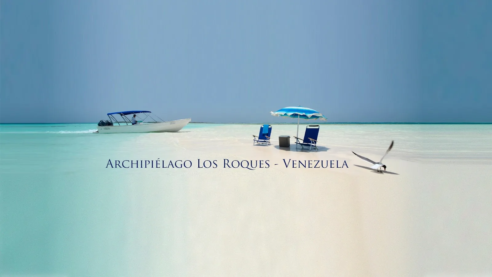 Viajando a los Roques LLC